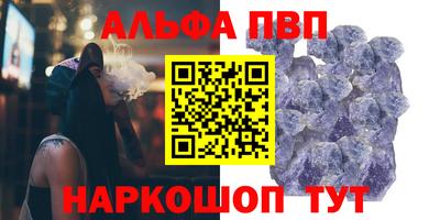 бошки Кингисепп