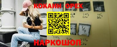 бошки Кингисепп