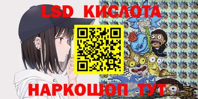 бошки Кингисепп