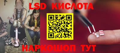 бошки Кингисепп