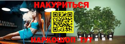 бошки Кингисепп