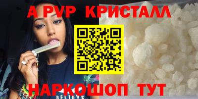 бошки Кингисепп