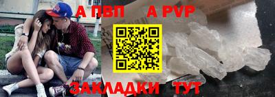 бошки Кингисепп