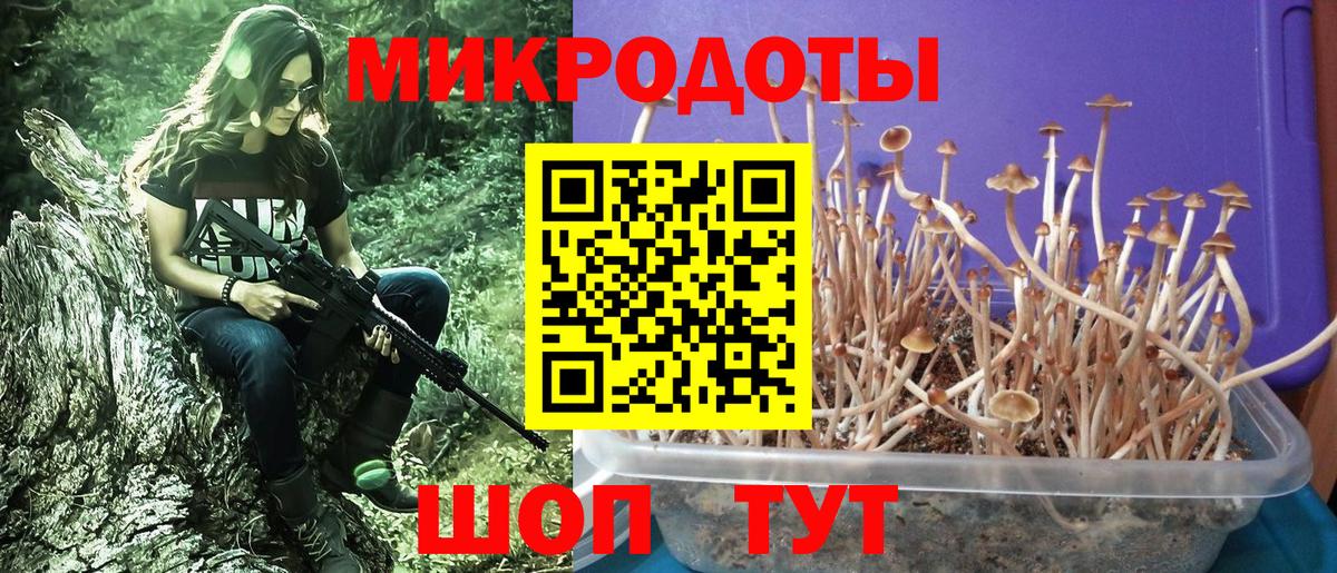 Луховицы  Галлюциногенные грибы мицелий  Вход с VPN 